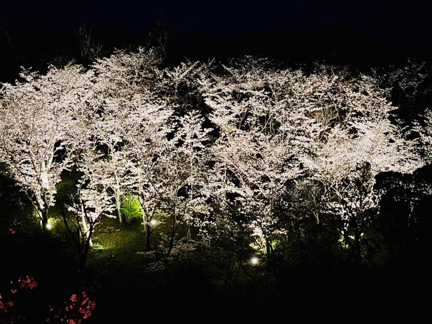 風乃家 Kaze No Ya Villa ชิราฮามะ ภายนอก รูปภาพ